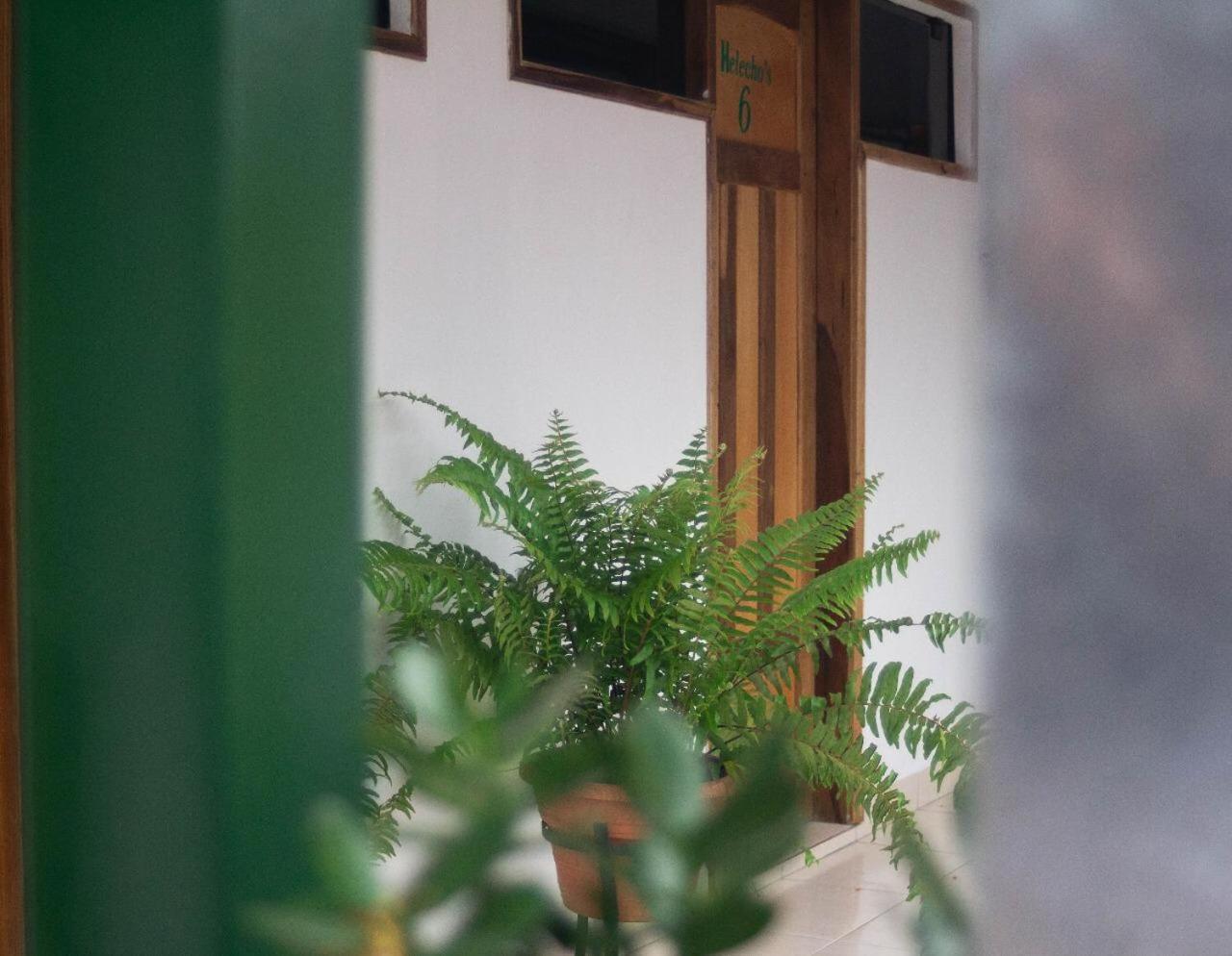 Helecho'S Hostal Hostel Encarnacion Exterior photo